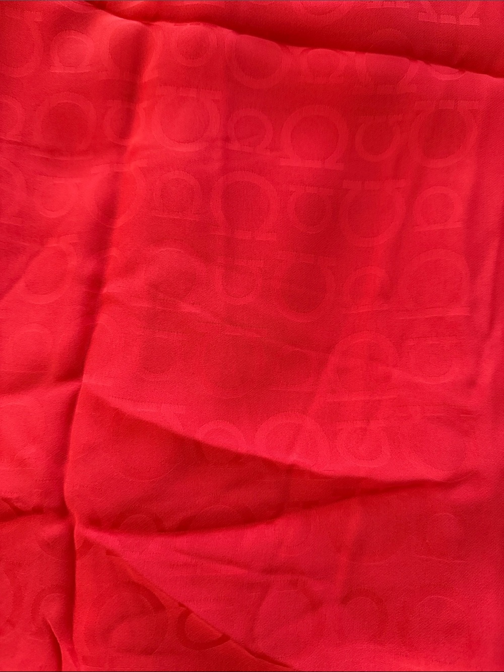 Red Logo-Pattern Sheer Scarf - Picture 2 of 3
